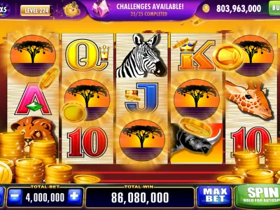 1win App Interface - Sports Betting